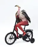 Jane Alexander, West Coast African Angel, plaster, bone, goose wings, flamingo skull, oil paint, found bicycle and wood