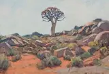 Kokerboom, Namaqualand by Piet van Heerden, oil on canvas board, sold May 2013