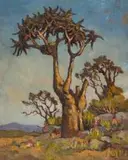 Conrad Theys, Quiver Tree in a Rocky Landscape