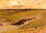 Adriaan Boshoff, Herdboys and Cattle