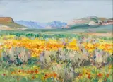 Springtime, Namaqualand by Hugo Naude, oil on board, sold May 2013
