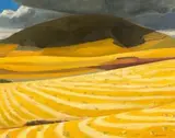 Erik Laubscher, Golden Fields