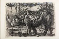 William Kentridge, Rhino, charcoal and pastel