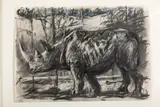 Rhino by William Kentridge, charcoal and pastel, sold May 2013