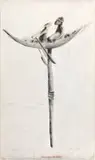 Deborah Bell, West - those who come before us, charcoal, pastel and wash