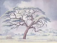Jacobus Hendrik Pierneef, Kameeldoring, Kalahari, oil on canvas