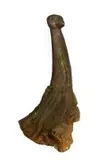 Jackson Hlungwani, Mythological Bird
