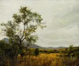 Buite Windhoek by Walter Meyer, oil on canvas, sold Nov 2012