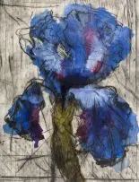 William Kentridge, Iris, hardground etching with drypoint and two hand coloured plates