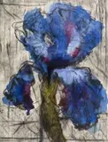 William Kentridge, Iris, hardground etching with drypoint and two hand coloured plates