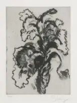 Iris by William Kentridge, etching with sugarlift, sold Nov 2012