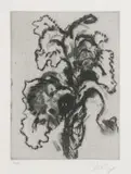 William Kentridge, Iris, etching with sugarlift