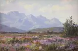 Vera Volschenk, Heather at the Foot of the Langebergen, Riversdale, oil on canvasboard