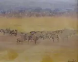 Gordon Vorster, A Herd of Wildebeest