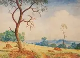 Gerard Bhengu, An Extensive Landscape with Trees