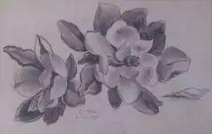 Otto Klar, A Study of Magnolias, charcoal