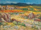 Hugo Naude, Namaqualand in Spring