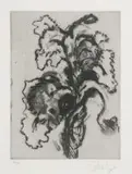 William Kentridge, Iris, etching with sugarlift