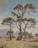 Gregoire Boonzaier, Drie Dennebome, Kenilworth