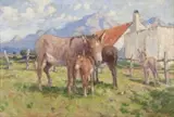 Allerley Glossop, Donkeys in a Paddock