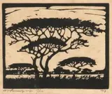 Mimosa, N. Tvl (Nilant 99) by Jacobus Hendrik Pierneef, linocut, sold Sep 2011
