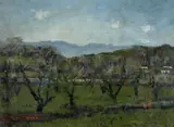 Pieter Wenning, An Orchard, Kirstenbosch