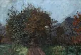 Ruth Prowse, Down the Lane, Stellenbosch, oil on board