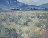 Piet van Heerden, Namaqualand