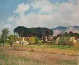 Piet van Heerden, Pine Trees, Greyton
