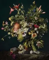 Andrew Putter, Hottentots Holland: Flora Capensis 3, 2008, archival pigment print on cotton rag paper