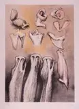 Henry Moore, Three Sisters (Cramer 621), 1981, lithograph in colours