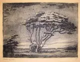 Jacobus Hendrik Pierneef, An Extensive Landscape with a Tree, etching and aquatint