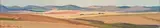 In the Swartland by Piet van Heerden, oil on canvas laid down on board, sold May 2011
