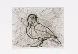 William Kentridge, Magic Flute: Dove (State X), 2007, drypoint etching