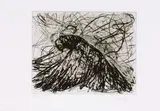 William Kentridge, Magic Flute: Dove (State IX), 2007, drypoint etching