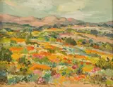 Piet van Heerden, Namaqualand, oil on board