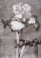 Iris II by William Kentridge, 2005, archival pigment print on cotton rag paper, sold May 2011