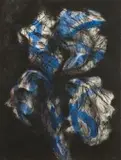 William Kentridge, Black Iris, etching and aquatint with hand-colouring