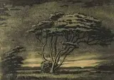 Jacobus Hendrik Pierneef, Doringboom, etching
