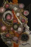 Christo Coetzee, Et In Arcadia Ego