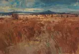 Titta Fasciotti, Extensive Landscape