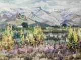 Hugo Naude, De Doorns