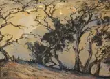 Nita Spilhaus, Moonlight through the Trees