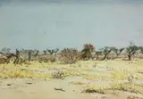 Adolph Jentsch, Namibian Landscape