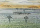 Gordon Vorster, Mirage
