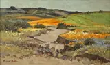 David Botha, Namaqualand