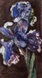 William Kentridge, Dutch Iris 2