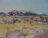 Ulrich Schwanecke, Koppies