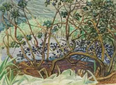 Edith King, Mangroves, South Coast, watercolour over charcoal