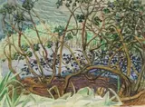 Edith King, Mangroves, South Coast, watercolour over charcoal